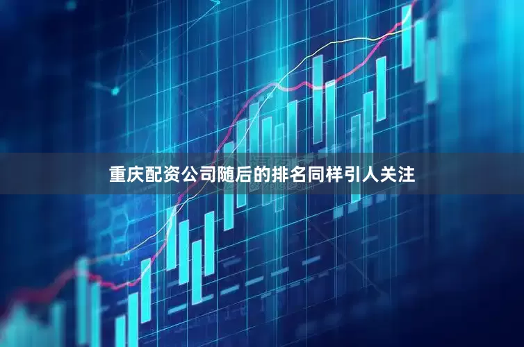 重庆配资公司随后的排名同样引人关注