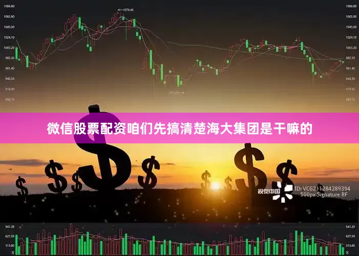 微信股票配资咱们先搞清楚海大集团是干嘛的